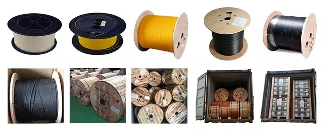 1000FT HDPE Sheath RJ45 Patch Cord Cat5e UTP LAN Network FTP Cat5 Ethernet Cable