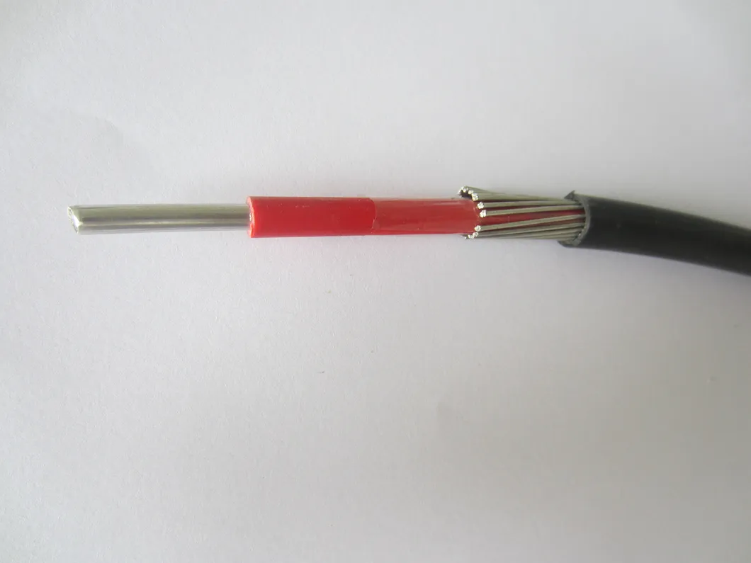 16mm2 Aluminum (copper) Split Concentric Cable XLPE/PVC Insulation for Kenya