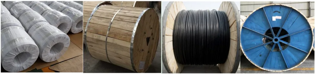 200mm2 AAC All Aluminum Conductor Bare Conductor Overhead Conductor