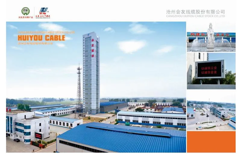 500V 2 Cores Mineral Insulated Fire Resistant Cable Suitable for Oil, Gas and Petroleum Industries, Airports, Emergency Lighting Systems and Fire Alarm Systems