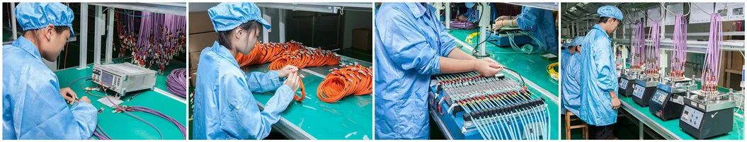 6 Core Fiber Optic Distribution Box Wall Mounted Outdoor Termination Box