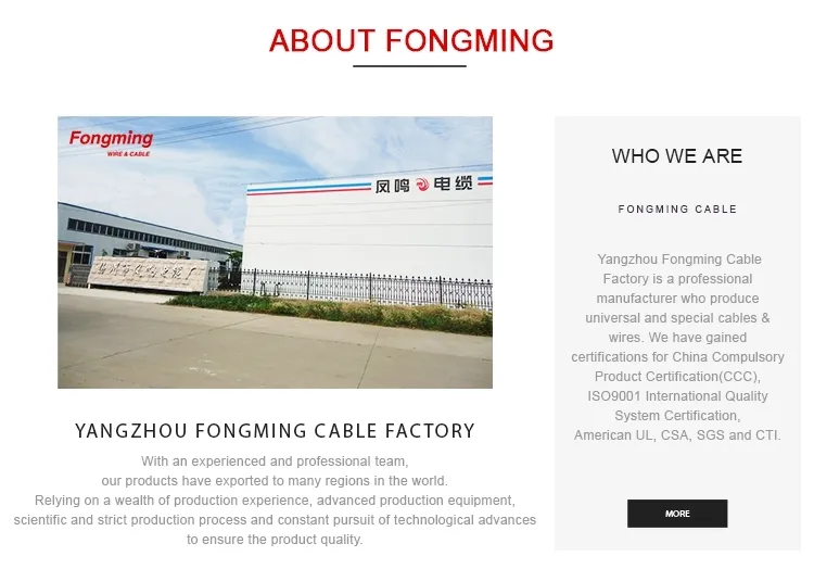 600V 350c Fiberglass Insdulated Wire 2.5mm2 3mm2