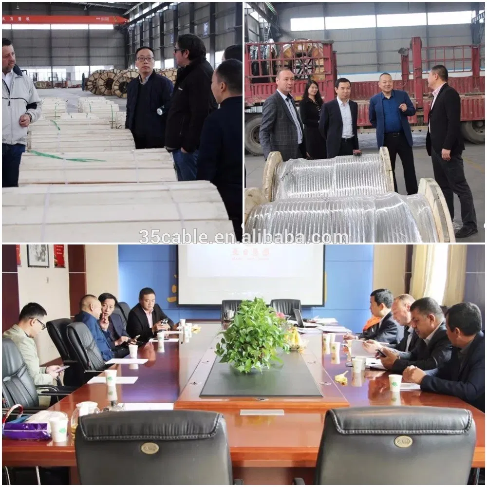 AAAC ACSR AAC Overhead Cable /All Aluminum AAC Conductor