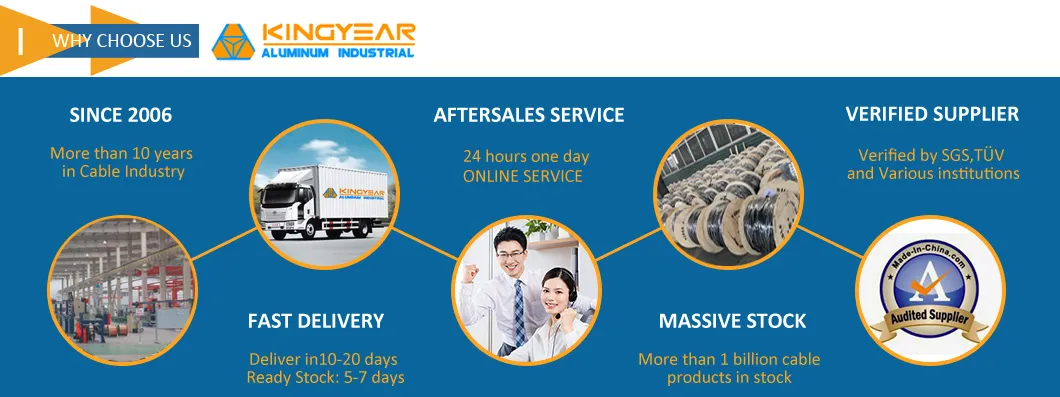 ACSR Conductor Aluminum Conductor Steel Reinforced IEC 61089 Stranded Bare Conductor for Overhead Transmission Lines