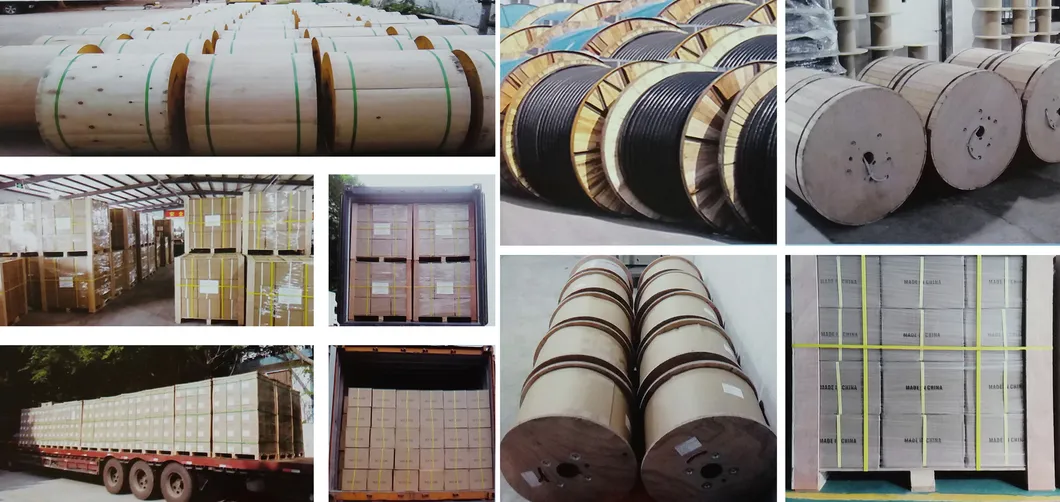 Anatel G657A Fiber Optic Cable 1core 2 Core 4 Core FTTH Drop Cable