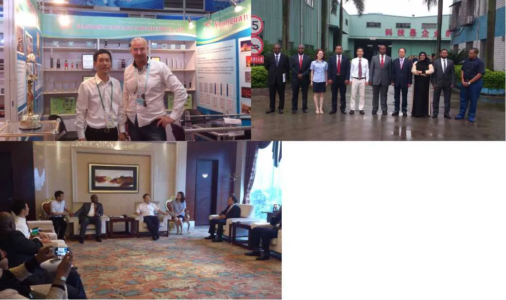 Ce CCC ISO Approved XLPE/PVC Insulated Electric Wire Power Cable