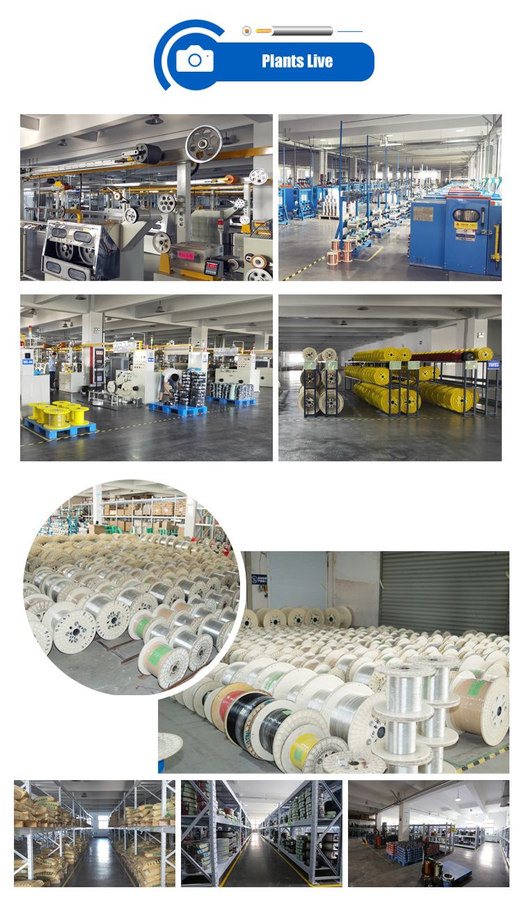 China Manufacture Bulk Supply Avss Jaso D611 Standard Electric Vehicle Wire PVC Rainbow Customized PVC Copper Electrical Wire