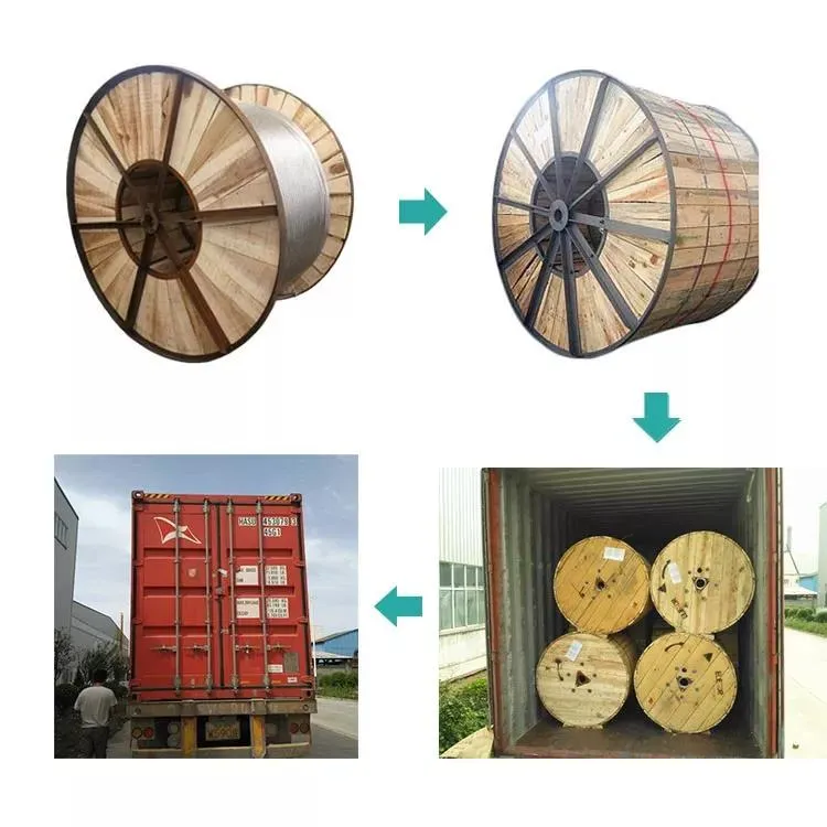 Cn 2021 New Style ACSR Conductor Armoured Marine Cable