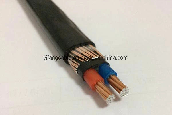 Concentric Cable 2X6AWG 2X10AWG 2X16mm2