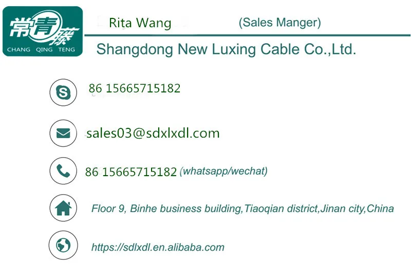 Cu XLPE Swa PVC Power Cable