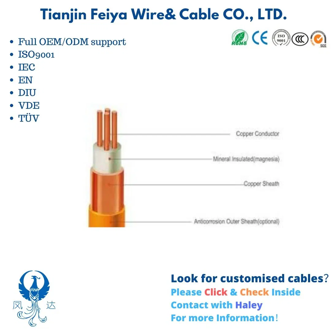Fly750V 2 Cores Mineral Insulated Fire Resistant Cable Suitable for Oil Gas and Petroleum Industries, Airports Emergency Lighting Systems and Fire Alarm Systems