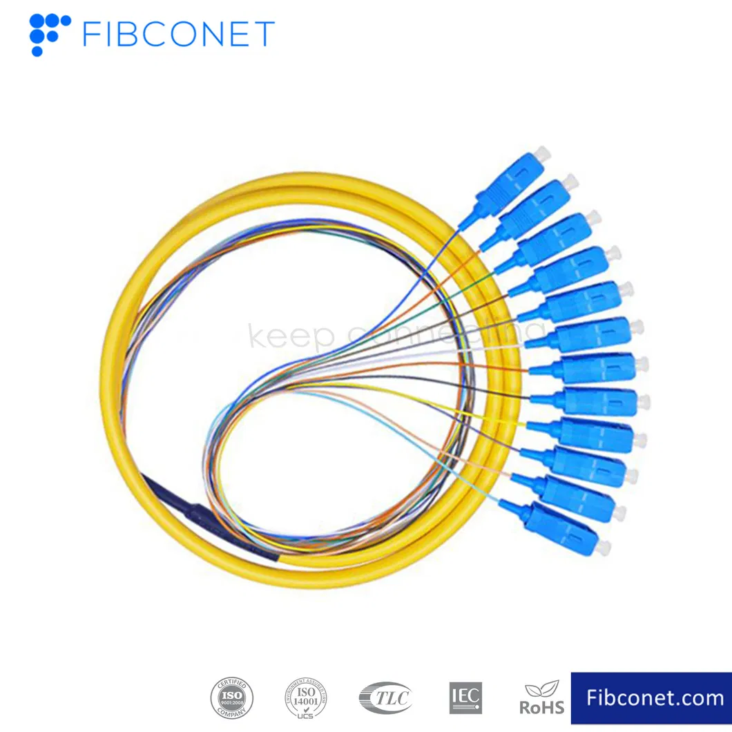 FTTH Patchcord Sc/FC/LC/E2000 12 Core Fiber Optical Pigtail Patch Cord