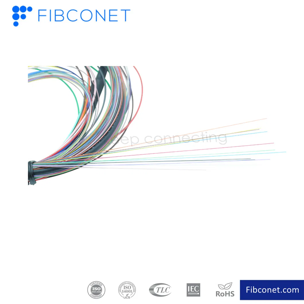 FTTH Patchcord Sc/FC/LC/E2000 12 Core Fiber Optical Pigtail Patch Cord