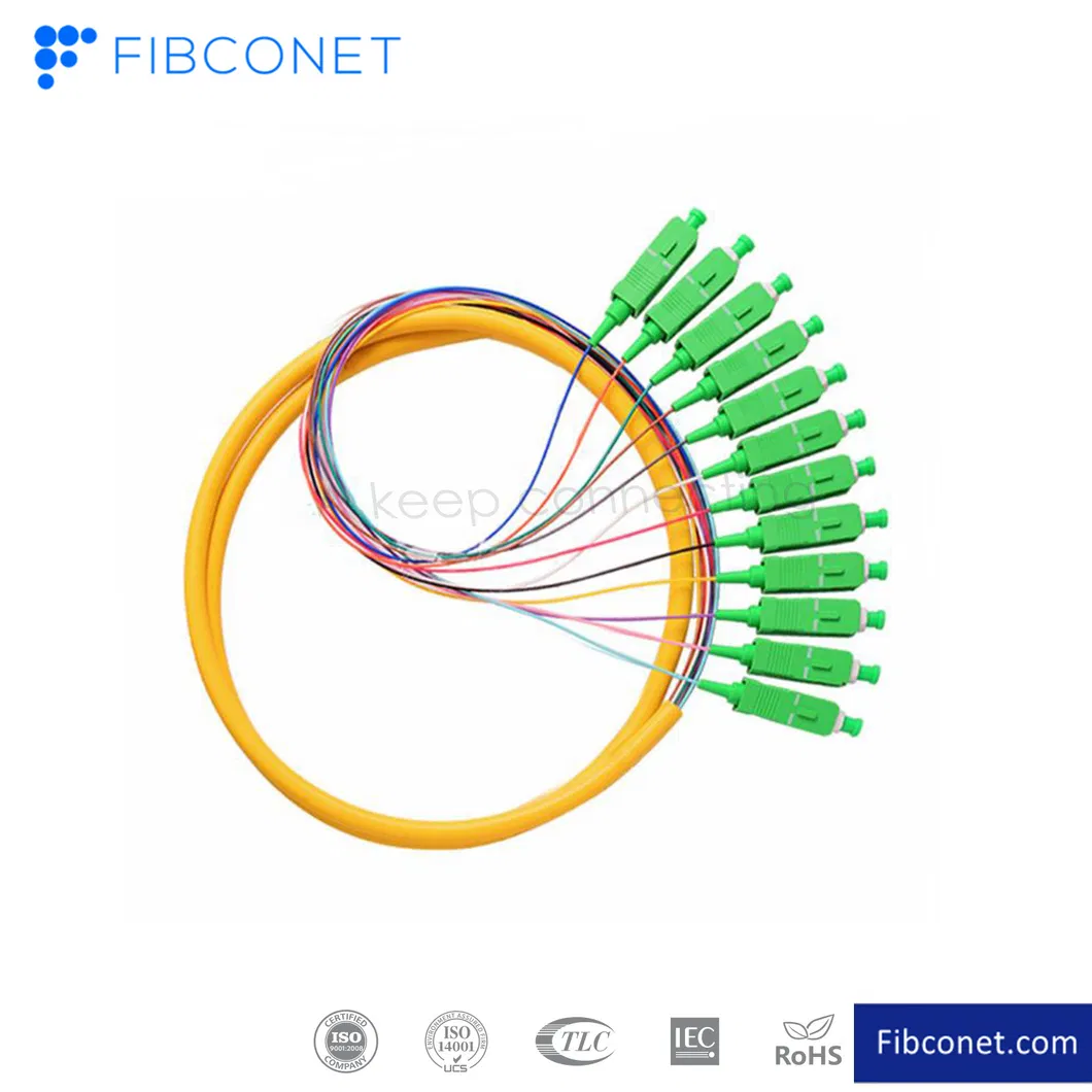 FTTH Patchcord Sc/FC/LC/E2000 12 Core Fiber Optical Pigtail Patch Cord