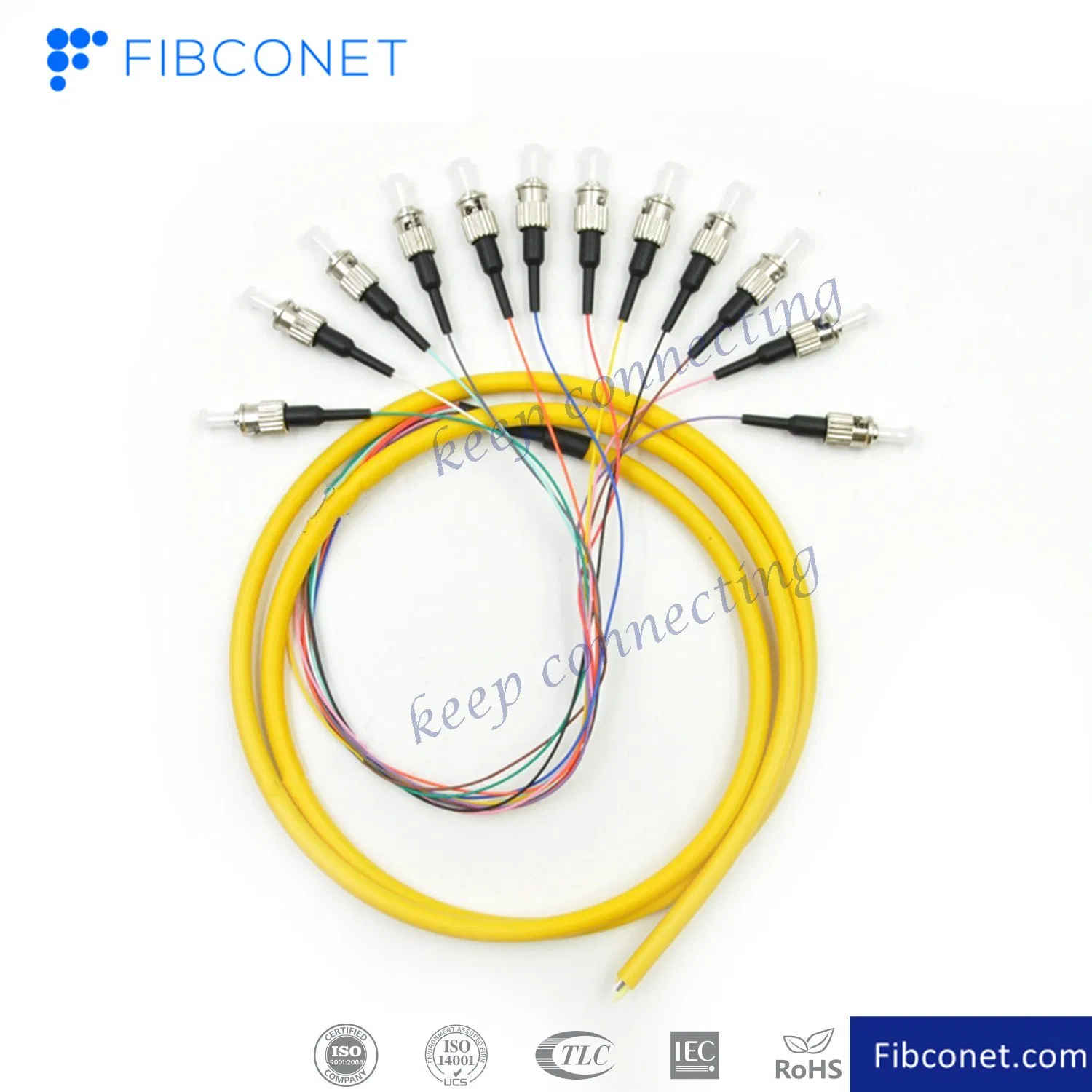 FTTH Single Mode 4 6 8 12 24 48 96 Core Distribution St Upc APC Fan-out Bundle Fiber Optic Pigtail