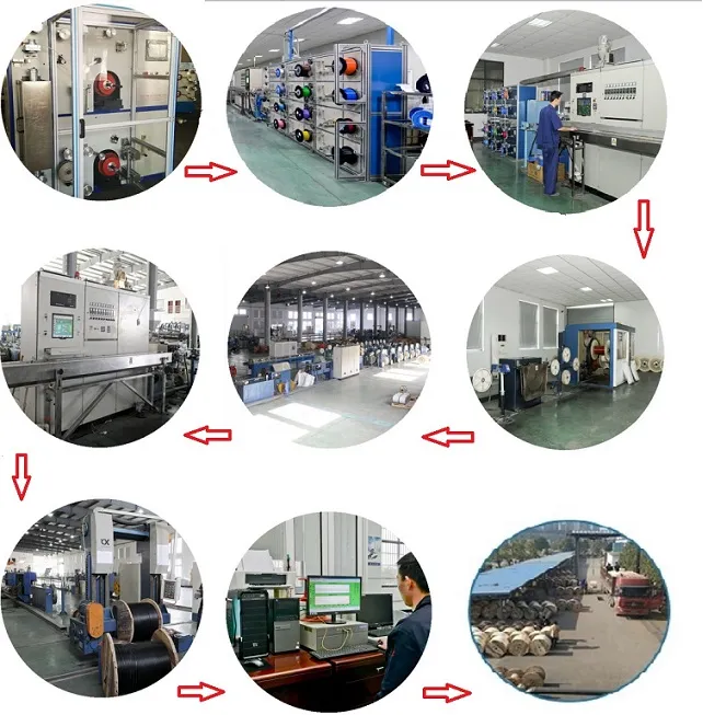 GYTY53 Fiber Optic Cable/Computer Cable/Data Cable/GYTS/GYTA/GYXTY