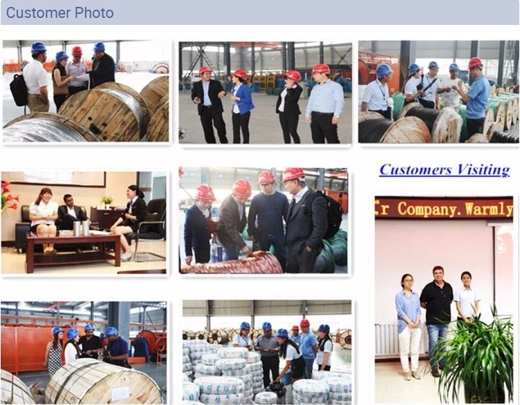 High Quality 450/700V Rubber Insulated 25mm2 35mm2 50mm2 70mm2 Welding Cable