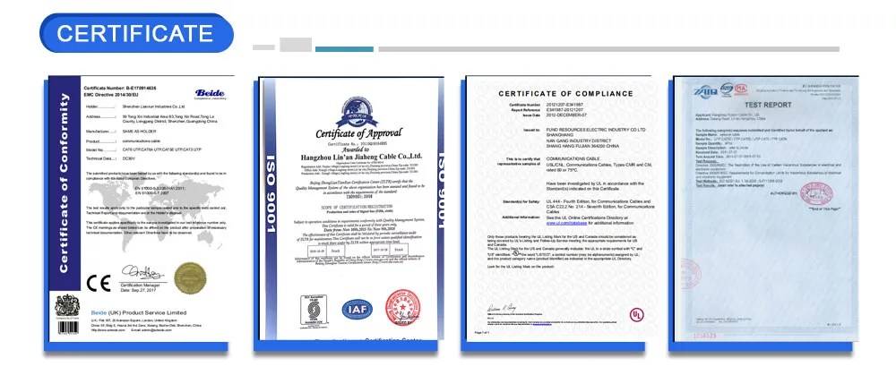 Indoor CCA Twisted Pair Cable U/UTP CAT6A Cable CPR Eca/Dca/CCA/B7ca
