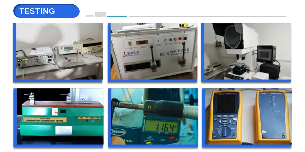 Indoor CCA Twisted Pair Cable U/UTP CAT6A Cable CPR Eca/Dca/CCA/B7ca