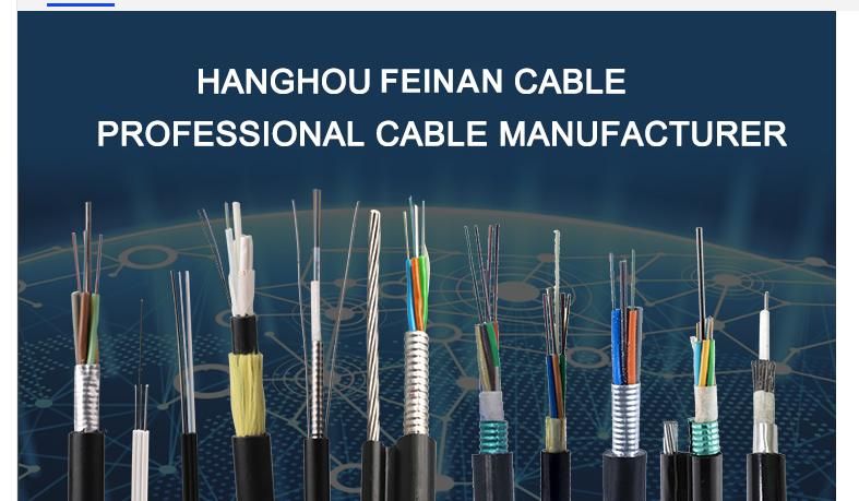 Indoor Outdoor 1 2 4 Core FTTH Fiber Optic Drop Cable