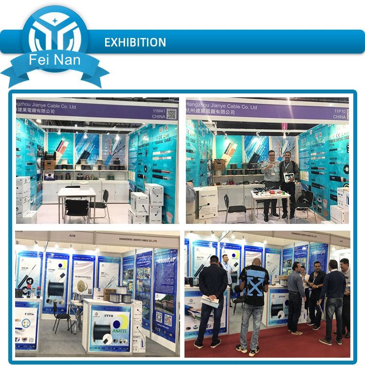 Indoor Outdoor 1 2 4 Core FTTH Fiber Optic Drop Cable