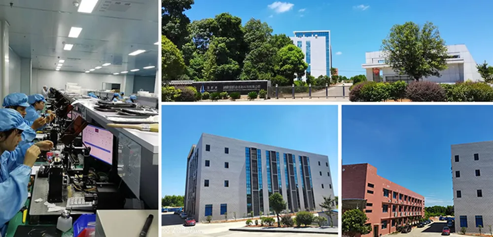 Low Loss Fiber Optic Patch Cord MPO Trunk Cable MPO F to MPO F Patchcord