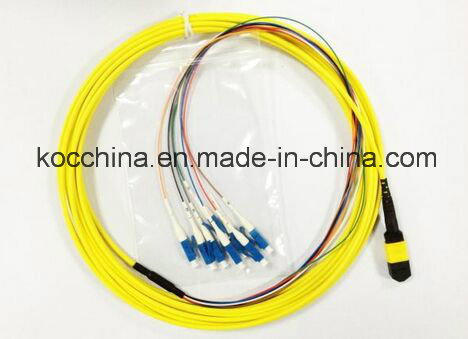 MPO St 12f Break out 0.9mm Patch Cord 10m