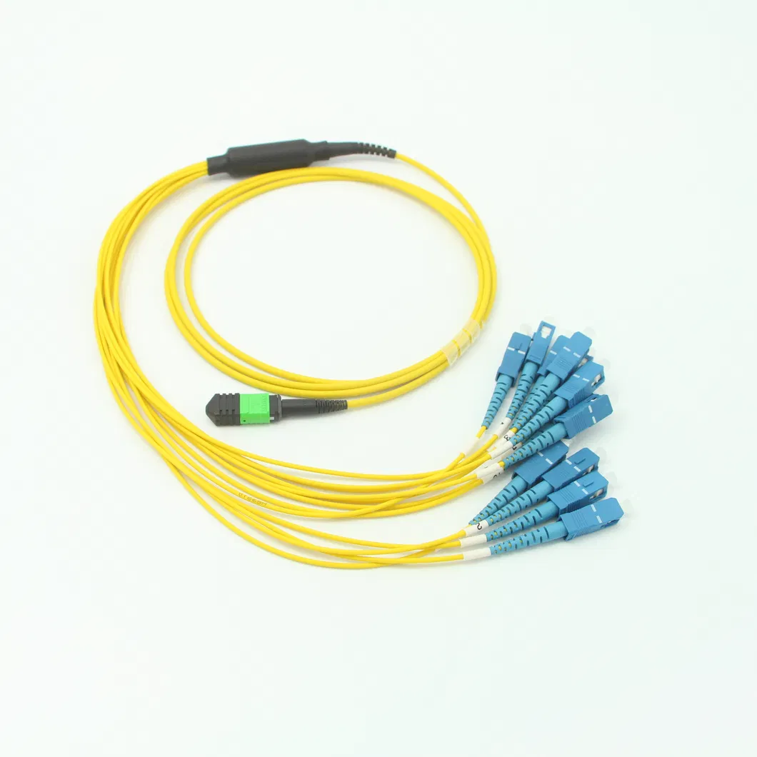 MPO St 12f Break out 0.9mm Patch Cord 10m