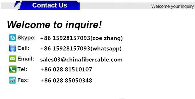 Non-Armored Optic Cable[ Gyxftpy] No Oil Water Blocking Yarn 657A1 Cable FTTH Flat Cable Gfrp Dry Type Twin Cable