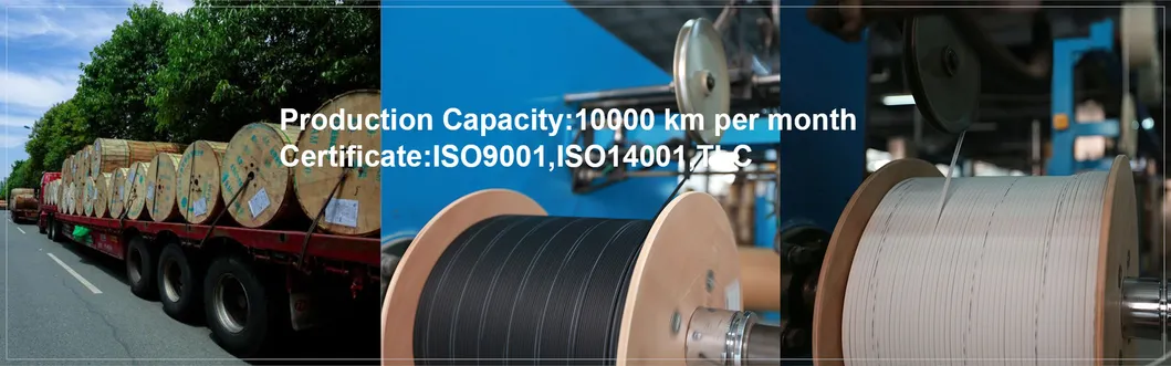 Non-Armored Optic Cable[ Gyxftpy] No Oil Water Blocking Yarn 657A1 Cable FTTH Flat Cable Gfrp Dry Type Twin Cable