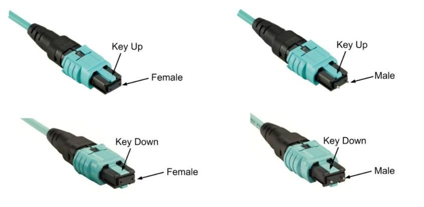 Optic Fiber Cable Om4 12 Core 24 Core MTP/MPO Patch Cord