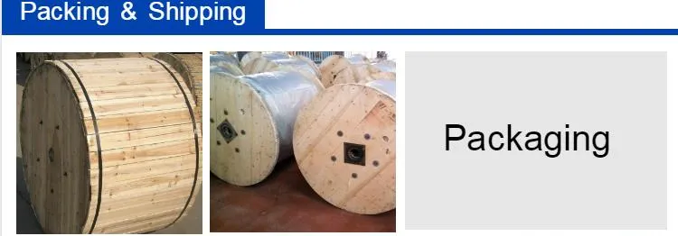 11kv 30kv 33kv Quadruplex Duplex Triplex Service Drop Overhead PE Insulated Aluminum Conductor Power Aerial Bundle PVC Electrical Cables XLPE ABC Electric Cable