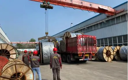 Power Transmission 1/0AWG 2/0AWG 3/0 AWG 4/0AWG XLPE Aluminum Conductor Aerial Bundled Cable