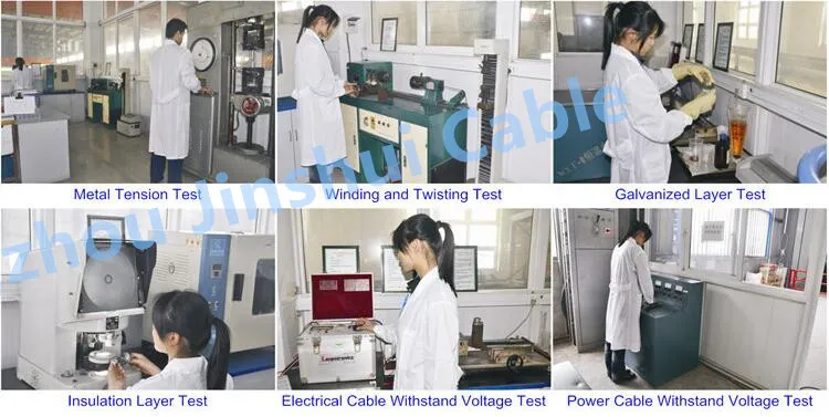 PVC Electric Wires Insulated Spt Cable2X16AWG