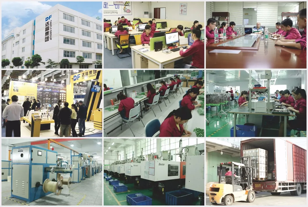 Sc APC Single Mode Duplex Fiber Optic Patch Cord