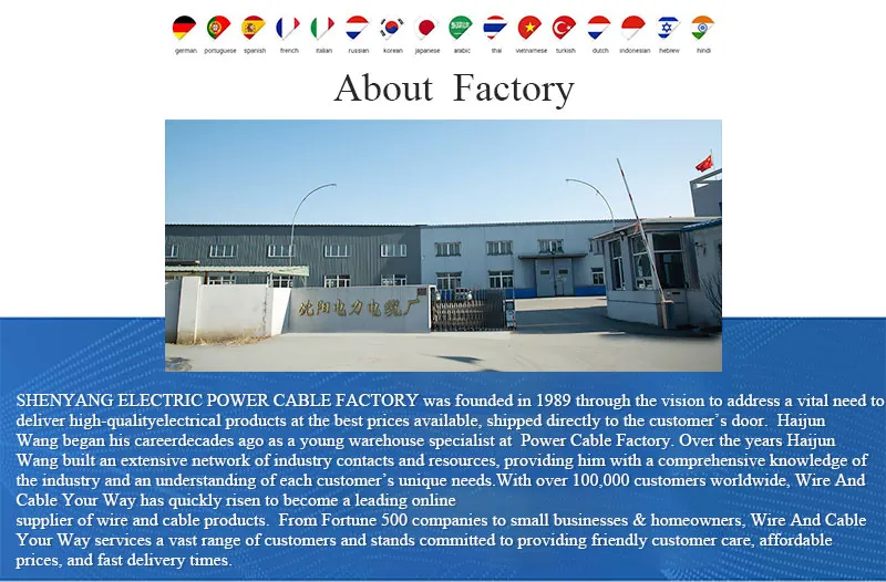 Shenguan Speaker Cable HiFi OFC Copper High End 2 / 4 / 8 Core Roh Audio Speaker Wire Cable Audio Video Cables Electric Cable