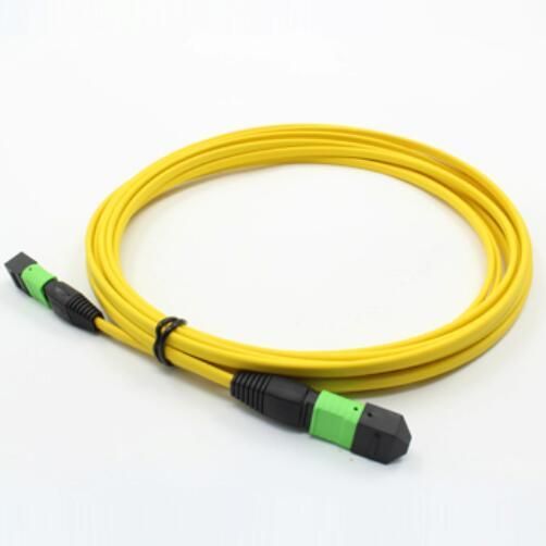 Singlemode 12cores Ribbon Fiber Optic Cable with MPO/MTP Connector