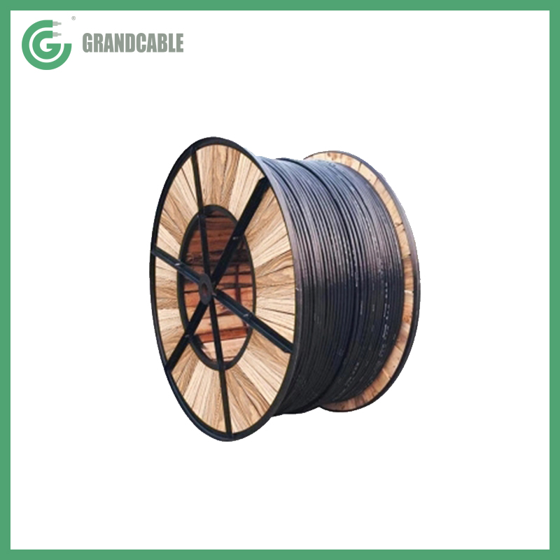 U- 1000 R2V 3X6mm2 XLPE Insulated UV-PVC Sheathed 0.6/1kV LV Power Cable electrique