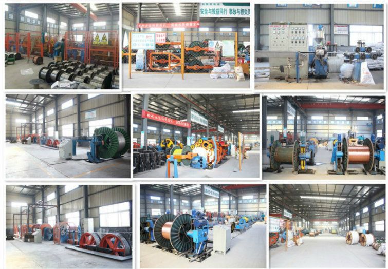 Wholesale PVC Insulated Copper Electrical Cable Wire Length Customized